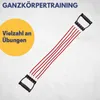 Best Sporting Expander Fitness 15-20-25 kg I Bänder Produktbild-Vorschau 3
