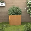 vidaXL Pflanzkübel 49x47x46 cm Cortenstahl Produktbild-Vorschau 7