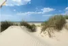 ARTland Wandbild, selbstklebend Düne mit Meeresblick Größe: Produktbild-Vorschau 1