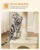 A cat is scratching a thick post on a cat tree. Produktbild-Vorschau