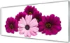 Glasbilder 125x50 Wandbild Druck auf Glas Blumen Pflanzen Produktbild-Vorschau 1
