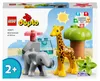 LEGO 10971 DUPLO Sada divokých zvířat Afriky pro nejmenší s Náhled obrázku produktu 23