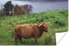 MuchoWow® Poster Schottische Highlander - Gras - Wasser - Produktbild-Vorschau 1