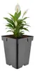 Pot carré en plastique noir pour plantes, avec trous de Voir les images du produit 1