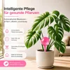 8 Bewässerungskugeln Set Topfpflanzen Gießkugeln Produktbild-Vorschau 6