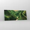 Bilder auf glas - Einteilig - Klappe Reis Vietnam - Produktbild-Vorschau 4