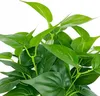 Künstliche Topfpflanze Philodendron 38 cm für Home Office Produktbild-Vorschau 6
