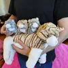 Maman chat avec bébés Doudou Noxxiez Kitten Peluche Voir les images du produit 4
