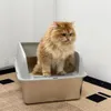 A fluffy orange cat is sitting in an open litter box. Produktbild-Vorschau