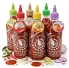 Flying Goose Salsa hoisin gusto piccante e dolce 455ml Anteprima dell’immagine prodotto 6