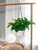 Závesný kvetináč Self Absorbing Voda Závesný kvetináč Náhľad obrázku produktu 10