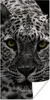 MuchoWow® Poster Schwarz-Weiß-Foto eines farbigen Leoparden Produktbild-Vorschau 1