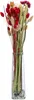 Dehner Blumenstrauß aus Trockenblumen, Blumen-Bouquet Luna Produktbild-Vorschau 2