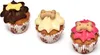 The Barking Bakery : Mini Woofins glacés à la vanille et à Voir les images du produit 2