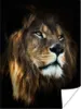 MuchoWow® Poster Löwe - Fell - Schwarz 90x120 cm - Produktbild-Vorschau 1