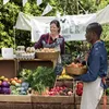 A farmer's market stall with fresh produce and eggs being sold by two vendors. Produktbild-Vorschau