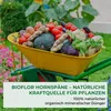 Bioflor Hornspäne 5 kg Beutel, 14% N, 100% natürlicher Produktbild-Vorschau 2