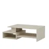 HOMIDEA DUX Table basse de salon avec rangement, design Voir les images du produit 6