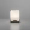 PAUL NEUHAUS Lampada da tavolo LED 4036-55 acciaio, 5 W, Anteprima dell’immagine prodotto 9