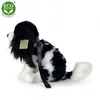 Peluche King Charles Spaniel Con Guinzaglio 27 Cm Eco-f. Anteprima dell’immagine prodotto 9