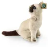 Plüsch-Siamkatze, 30 cm, umweltfreundlich Produktbild-Vorschau 6