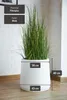 VIVANNO Blumentopf Fiberglas VEKRA Rund, Weiß matt - 42x40 Produktbild-Vorschau 3