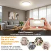A living room with a ceiling light and hands holding a phone showing the light. Produktbild-Vorschau