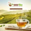 tea4me BIO Maisbart Kräutertee Produktbild-Vorschau 5