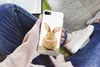 MuchoWow® Handyhülle Schutzhülle Hülle für iPhone 7 Produktbild-Vorschau 3