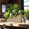 LECHUZA-Pflanzgefäß BALCONERA Stone 50 Sandbeige | Produktbild-Vorschau 9