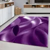 Tappeto PLUS LILA 120 X 170cm rettangolo Anteprima dell’immagine prodotto 1