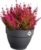 elho® Vibia campana Fallrohr Pflanzgefäß Anthrazit 22 cm - Produktbild-Vorschau 16