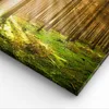 Bild auf Leinwand - Leinwandbild - Bäume Sonne Natur - Produktbild-Vorschau 5