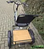Elektro Dreirad Zemto-Lux-Mover T4 , 720 WH, 90 NM - Produktbild-Vorschau 7