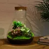 Urbanjngl Flaschengarten Sam mit Lampe - 30 cm Produktbild-Vorschau 1