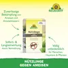 Neudorff Nützlinge gegen Ameisen – 10 Mio. SF-Nematoden Produktbild-Vorschau 2