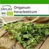 SAFLAX - BIO - oregano - Origanum heracleoticum - 1500 Náhľad obrázku produktu 10