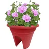 Balkongeländertopf Mediterran 2-fach - Ø 30 cm - Himbeere - Produktbild-Vorschau 2