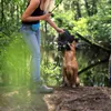 obojek lionto pull-stop, nastavitelný a lehký, nylonový Náhled obrázku produktu 2
