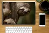 MuchoWow® Laptop Aufkleber Sticker Cover Ein Faultier in Produktbild-Vorschau 2