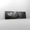 Bild auf Leinwand - Leinwandbild - Pferd Tier Natur - Produktbild-Vorschau 4
