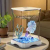 Mini Aquarium - Tisch-Aquarium Starterset - LED-Beleuchtung Produktbild-Vorschau 5
