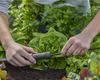 GARDENA Micro-Drip-System Hahnanschluss 4,6mm (3/16") Produktbild-Vorschau 16