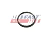 FAST Dichtung Vakuumpumpe FT49853 für FORD RANGER (TKE) 25g Produktbild-Vorschau 2