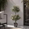 Künstlicher Olivenbaum MCW-Q88, Dekopflanze Kunstbaum Produktbild-Vorschau 9