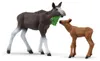 schleich® WILD LIFE 42629 Vache d'élan avec veau Voir les images du produit 9