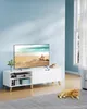 A modern living room with a TV stand, TV, and a cat. Náhled obrázku produktu