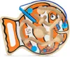 Hape Totally Amazing Dicker Fisch, E1700 Produktbild-Vorschau 5