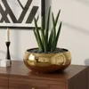 Bloempot, keramische schaal, gouden glans, diameter 19,5 Productafbeelding-voorbeeld 9