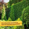 Gehölzdünger Solabiol Baum-,Strauch & Heckendünger Granulat Produktbild-Vorschau 2
